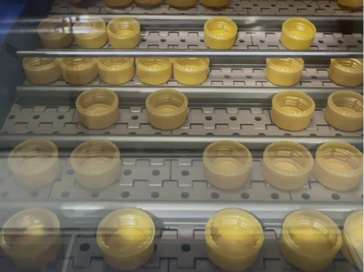 Cap Sorting Machine_